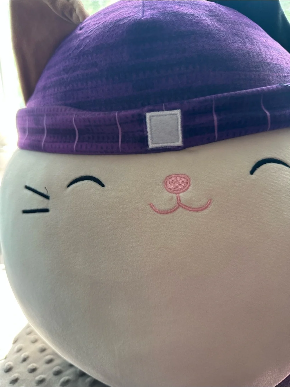 Squishmallows Calico Cat Plush with Purple Hat
